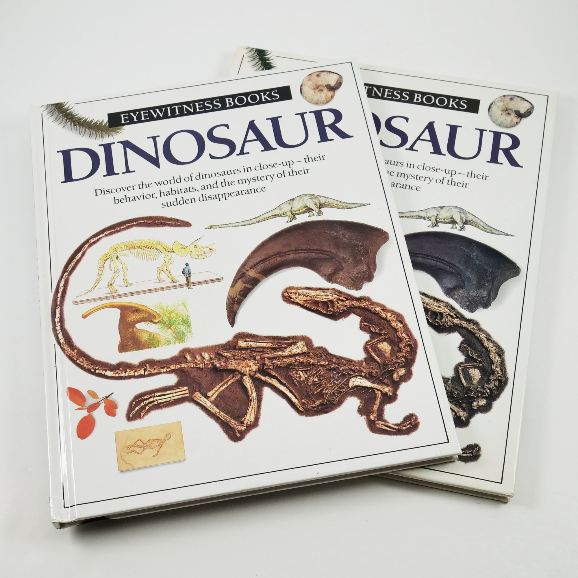 Revolutionary Children's Books: Eyewitness Dinosaur