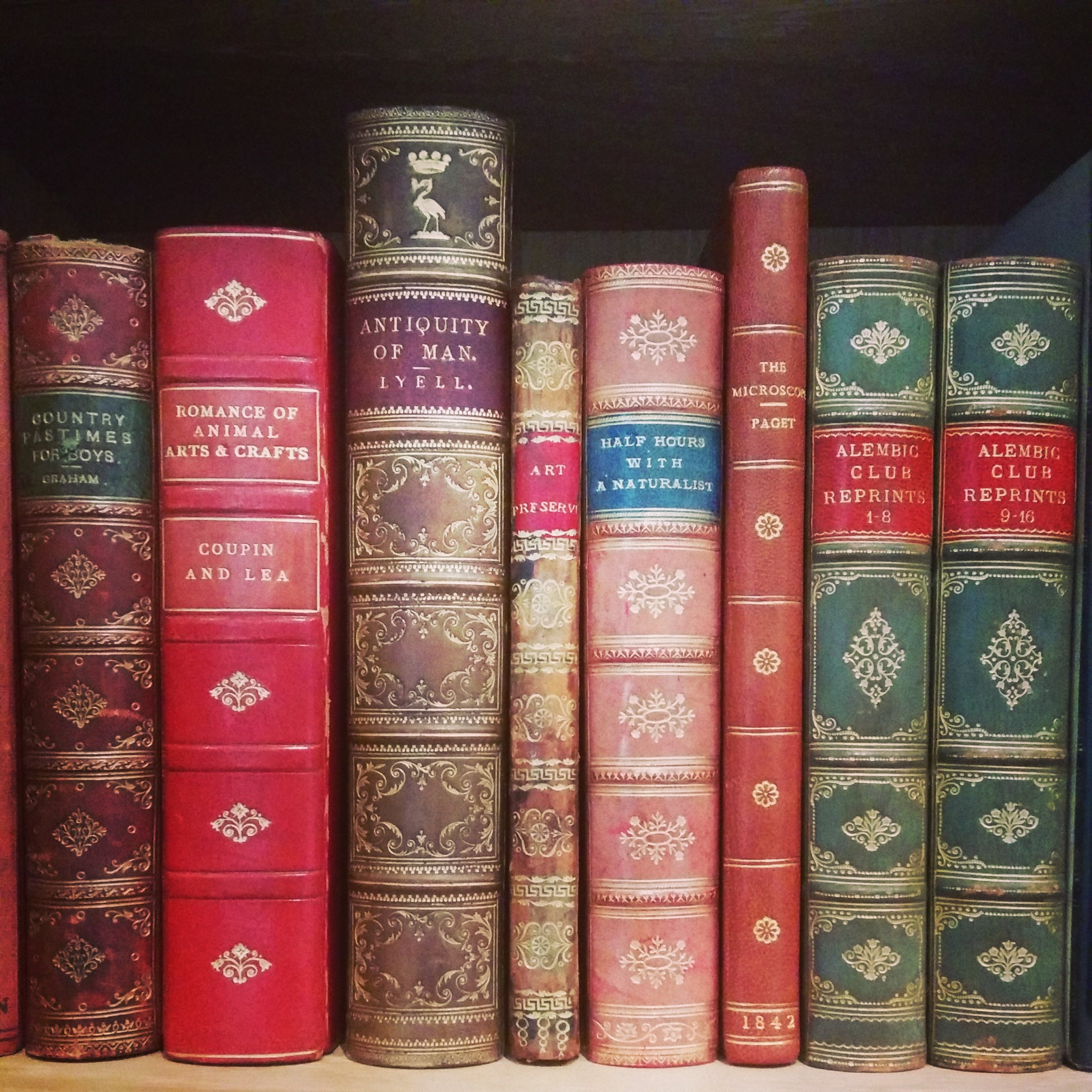 How to Start Collecting Rare Books
