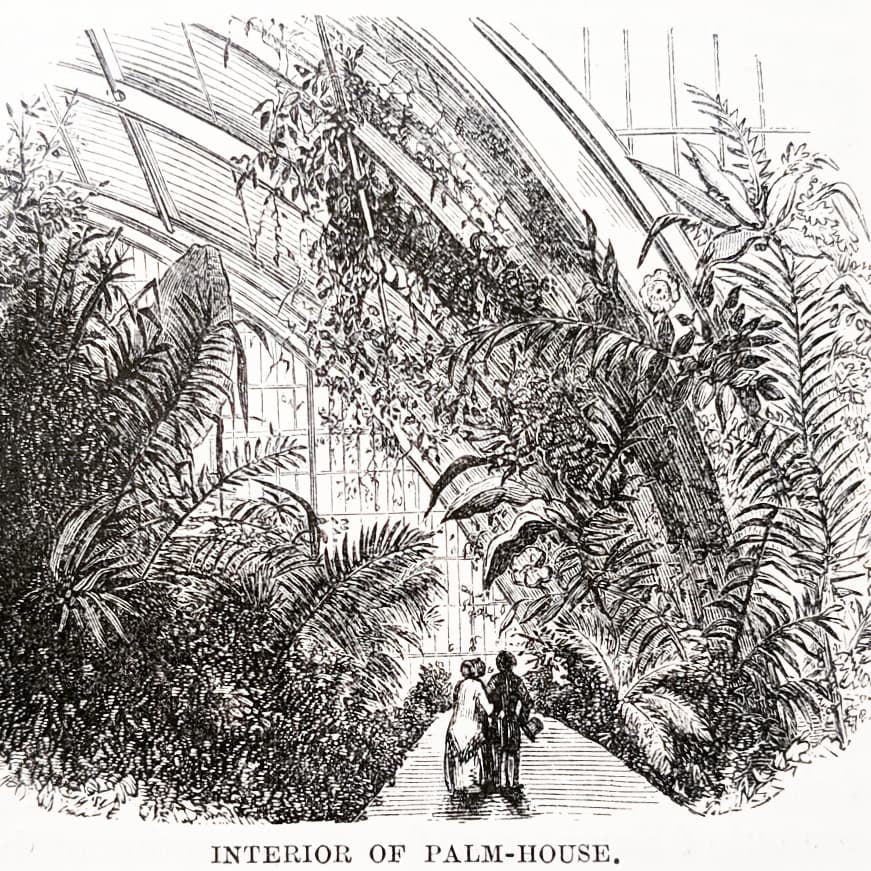 Wandering in Kew Gardens: Illustrations from a Victorian Guidebook