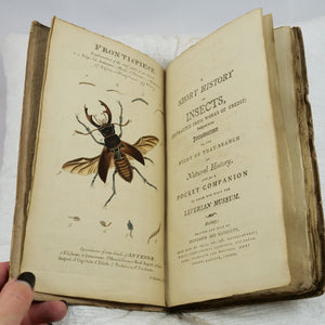 Fenn, Lady Ellenor | A Short History of Insects