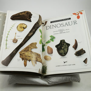 Norman, David & Angela Milner | Eyewitness Books: Dinosaur