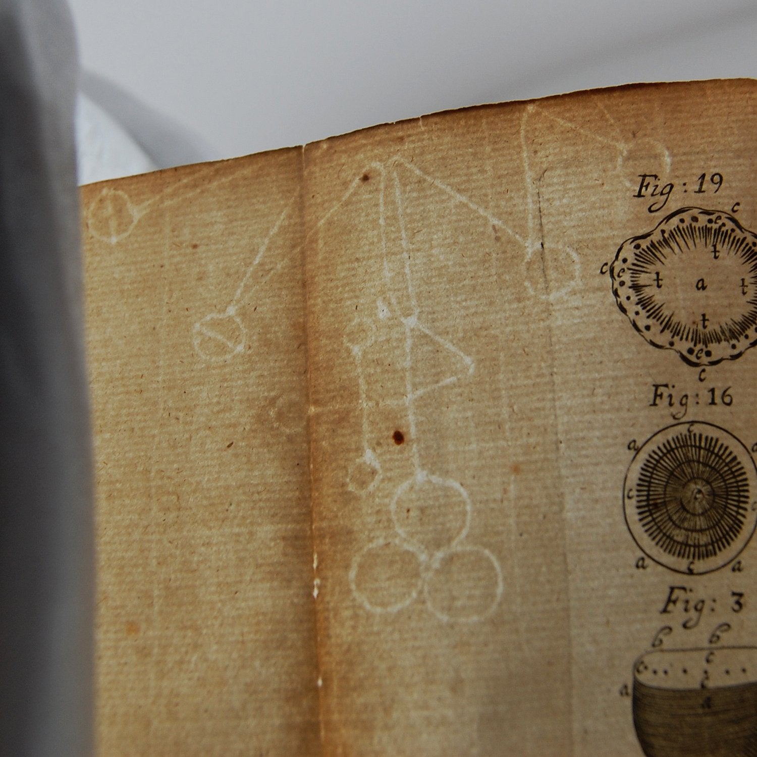Watermarks & Foolscaps: Exploring the History of Paper Production
