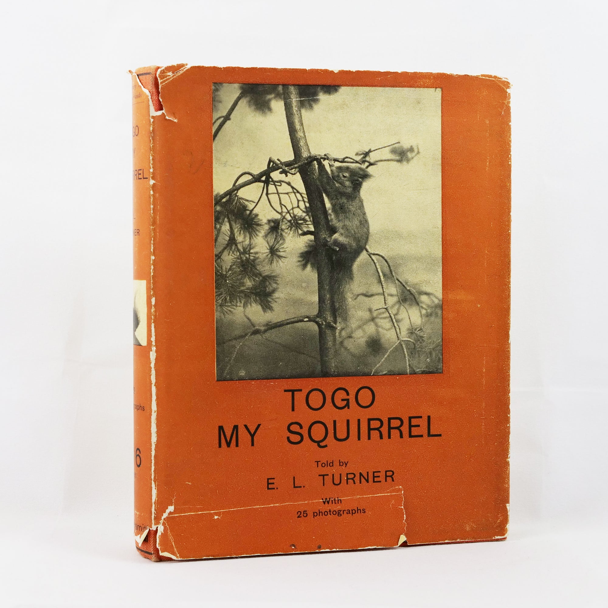 Turner, E. L. | Togo, My Squirrel and His Lady-Friend Buda