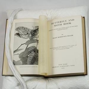 Robertson-Miller, Ellen. Butterfly and Moth Book