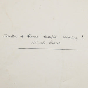 Skinner, Elsie T. | Collection of Flowers Classified According to Natural Orders