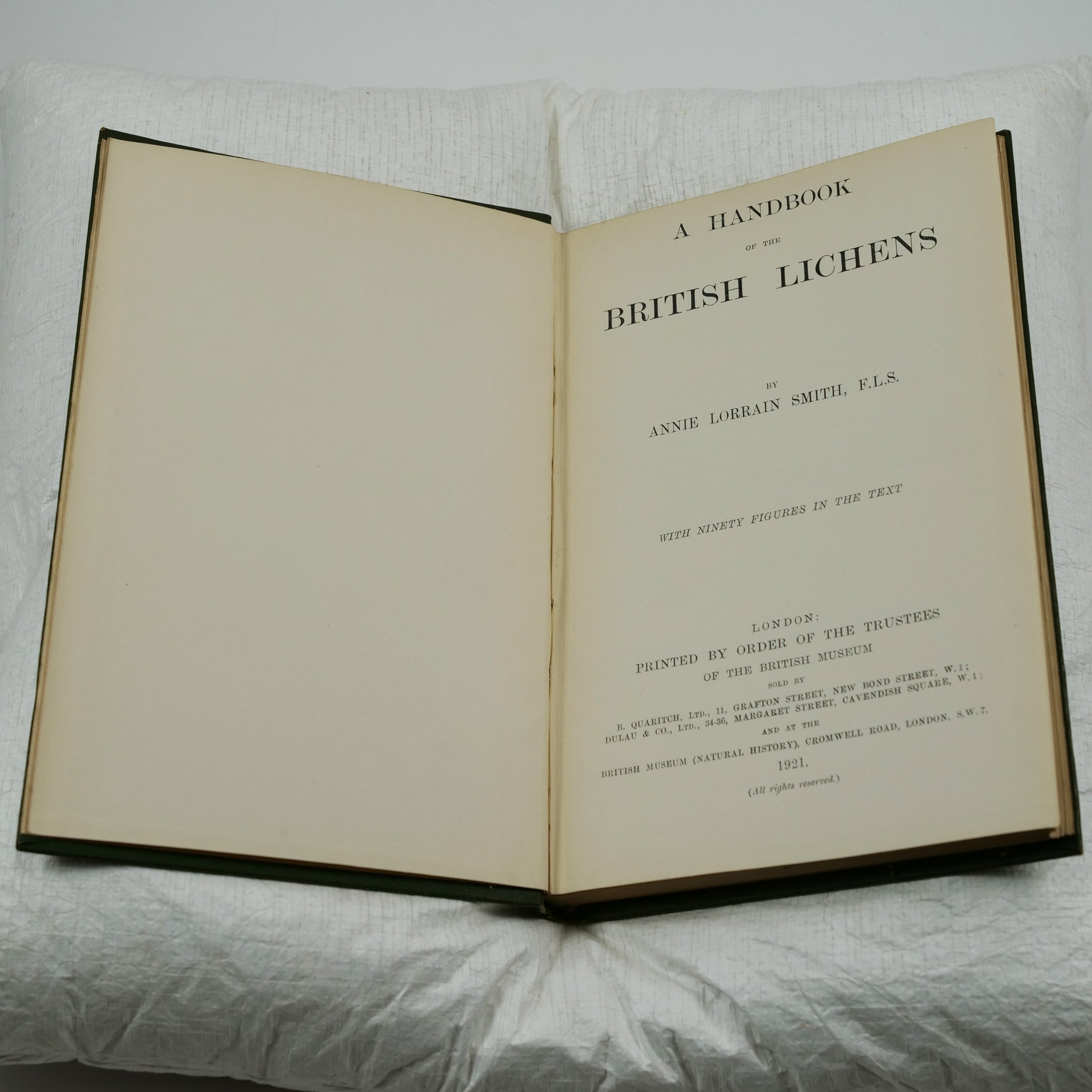 Smith, Annie Lorrain A Handbook of the British Lichens Sex Image Hq