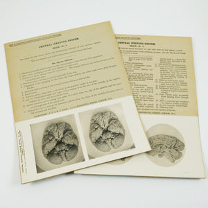 Waterston, David & Edward Burnet | The Edinburgh Stereoscopic Atlas of Anatomy. New Edition.