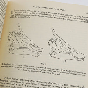 Maryańska, Teresa & Halszka Osmólska | Cranial Anatomy of Saurolophus Angustirostris with Comments on the Asian Hadrosauridae (Dinosauria)