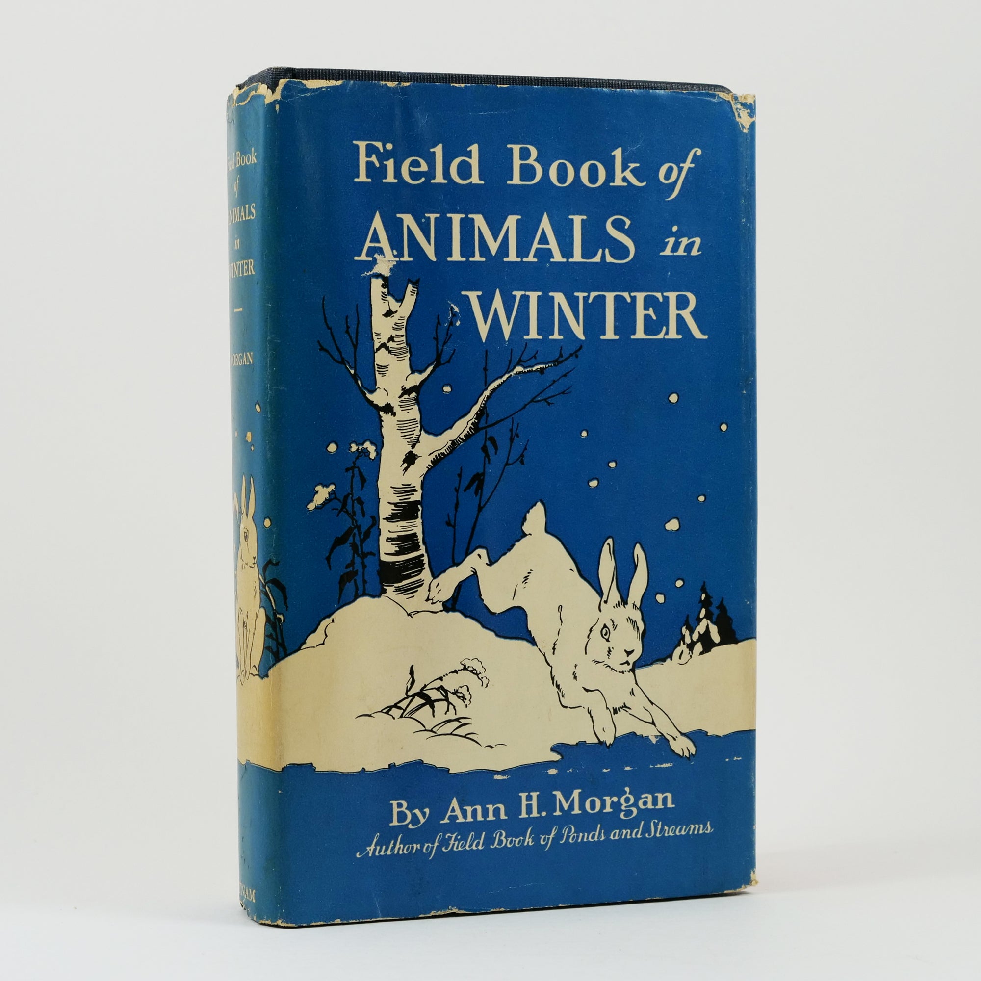 Morgan, Ann Haven | Field Book of Animals in Winter
