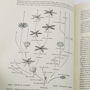 Fell, Howard Barraclough | The Phylogeny of Sea-Stars